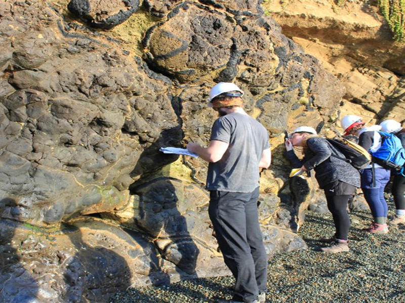 геологические и органические материалы